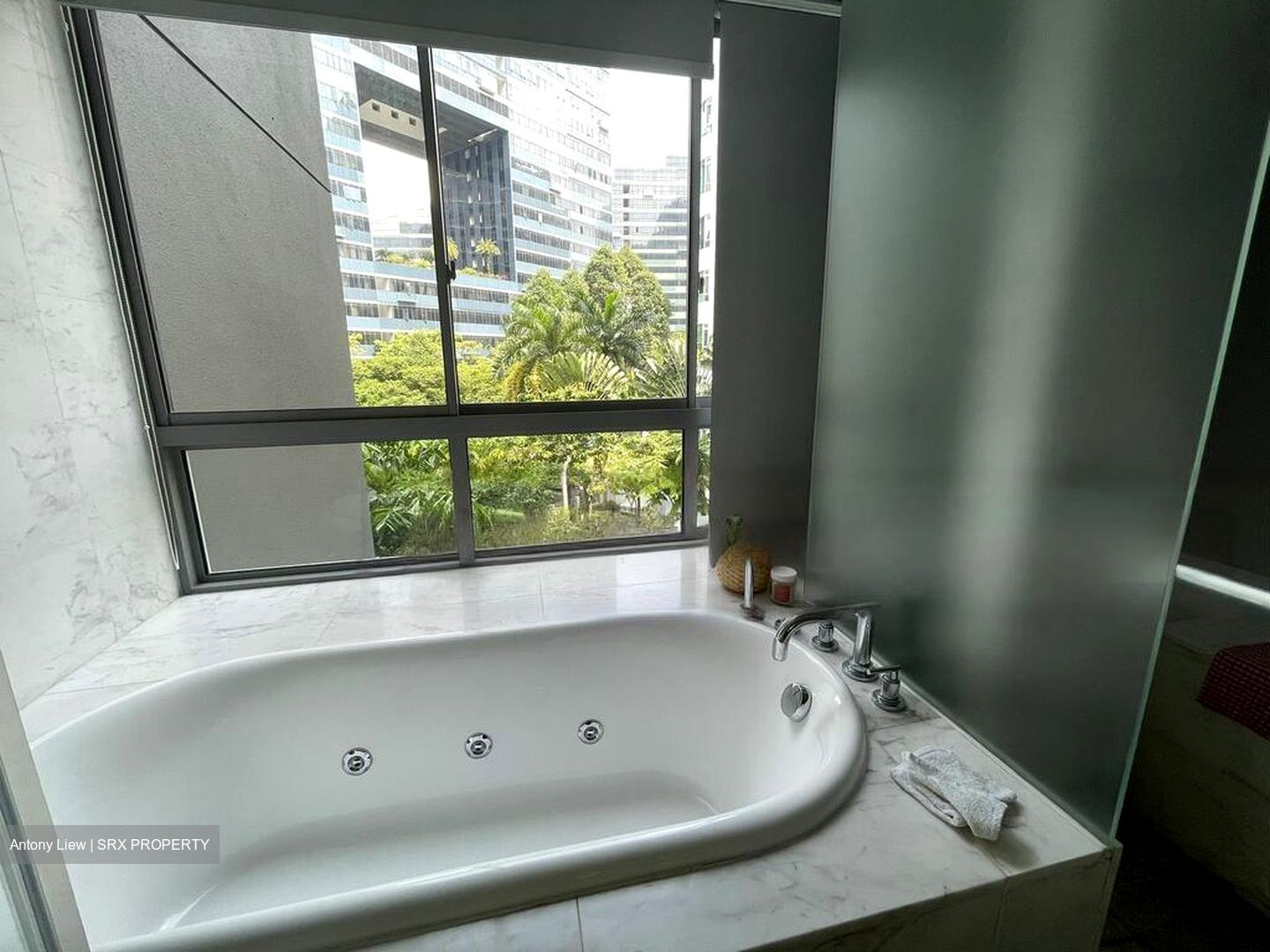 CityVista Residences (D9), Condominium #477544411